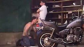 Stud Sucking A Big Bear