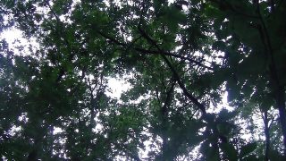 REAL HOT CUM HARD COCK NUDE OUTDOOR PUBLIC WOOD AMATEUR SOLO